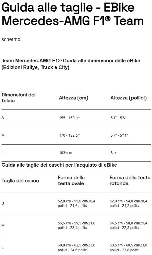 Mercedes-AMG PETRONAS F1® Team City Edition 250 Electric Bike