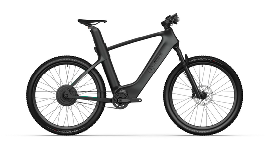 Mercedes-AMG PETRONAS F1® Team Rallye Edition 250 Electric Bike